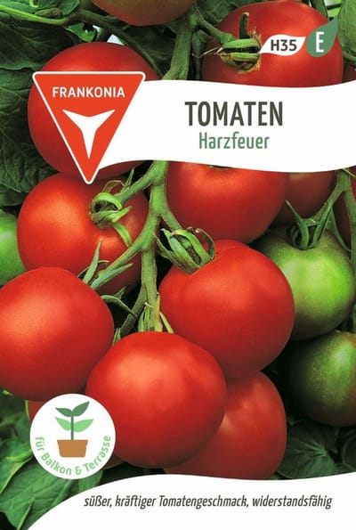 Onbepaalde tomatensoort, Harzfeuer F1 - Groentezaden, zaden