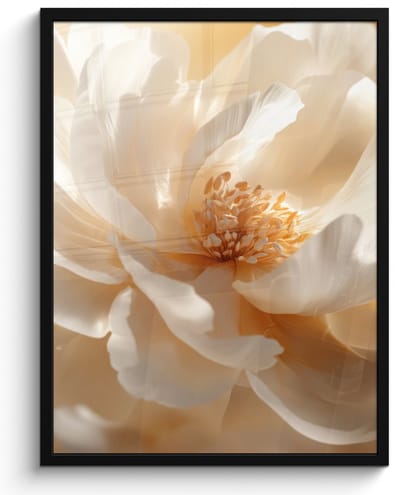 Poster in lijst - Fotolijst 50x70 cm - Posters - Close up - Pioenroos - Wit - Posterlijst zwart - Decoratie - Wanddecoratie woonkamer - Muurdecoratie slaapkamer