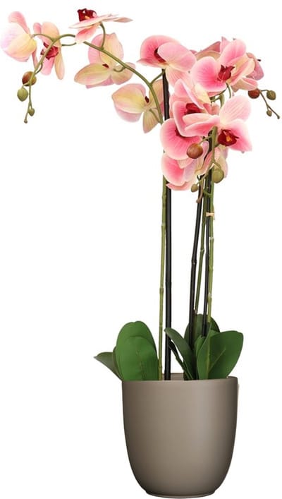 Orchidee kunstplant roze - 75 cm - inclusief bloempot taupe mat - Kunstbloemen in pot