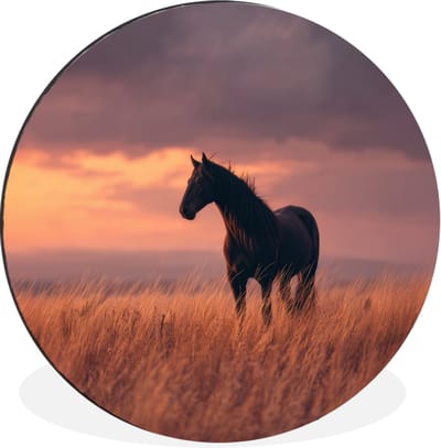 WallCircle - Wandcirkel - Muurcirkel - Paard - Wolken - Open veld - Aluminium - Dibond - 30x30 cm - Binnen en Buiten