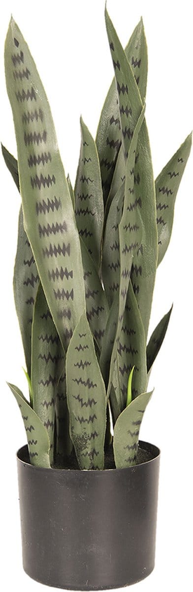Clayre & Eef Kunstplant 26*30*60 cm Groen Kunststof, Foam Kunstbloem Nepplant Nepbloem