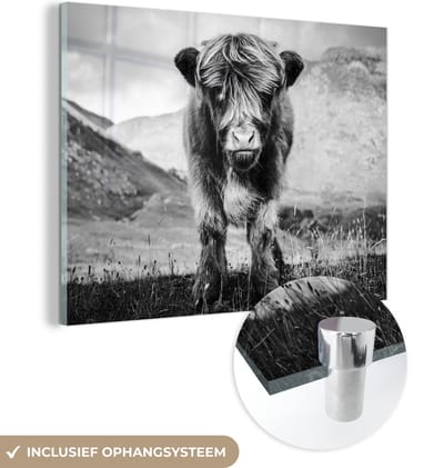 MuchoWow® Glasschilderij 160x120 cm - Schilderij acrylglas - Schotse Hooglander - Berg - Zwart - Wit - Foto op glas - Schilderijen