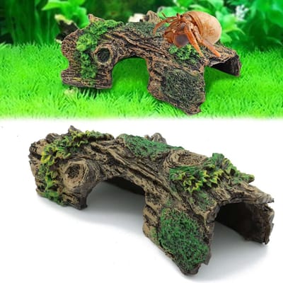 Dailygoods- Garnalenverstopplaats - Holte voor Aquarium/Terrarium - Decoratie van Hars - Vistank Accessoires - Makkelijk te Reinigen - Afmetingen 14cm x 6cm x 5,5cm - Aquariumdecoratie