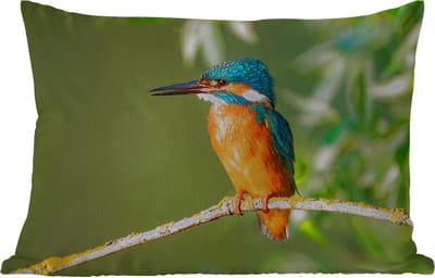 Buitenkussens - Tuin - Vogel - IJsvogel - Tak - Bladeren - Mos - 50x30 cm