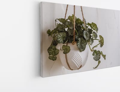 Saammp Canvas Schilderij - Planten in hangende bak - Bloemen - Abstract - 30x20 - Foto op canvas - Wanddecoratie - Muurdecoratie Woonkamer - Kantoor Decoratie