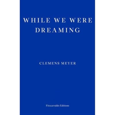 While We Were Dreaming - Clemens Meyer
