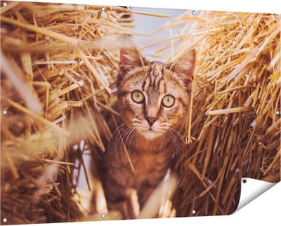 Gards Tuinposter Kat tussen de Stro Balen - 150x100 cm - Tuindoek - Tuindecoratie - Wanddecoratie buiten - Tuinschilderij