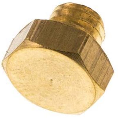 M5 Messing Plug met Buitenzeskant 16 Bar [10 Stuks]