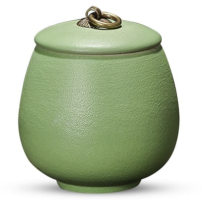 Luxe Urn 170 ML - Crematie Urn - Uniek - Voor Huisdieren of Menselijk As - Crematie As - Mini Urn - Decoratie Urn - Mat Licht Groen