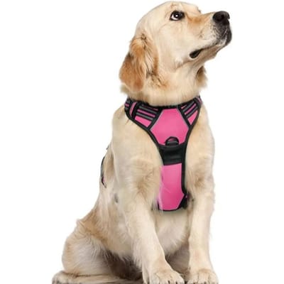 Harnais anti-traction pour chien avec clips de laisse réglable, rembourré doux, réfléchissant, Oxford, sans étranglement, poignée de contrôle facile pour grands chiens L bleu