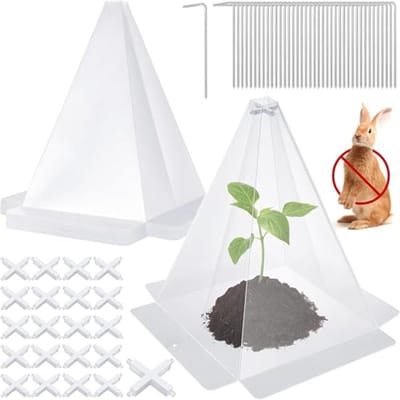 20 Stuks Plantenafdekkingen voor Tuinplanten - Opvouwbaar Mini-Broeikas voor Bescherming tegen Weersinvloeden