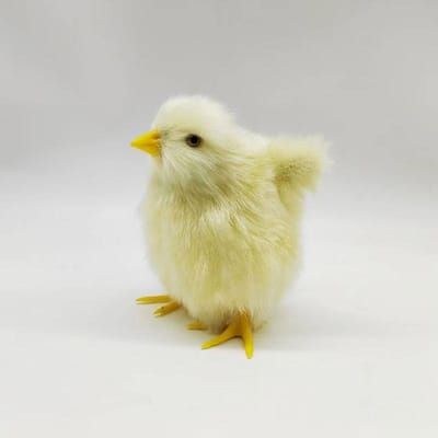 Mini Scène Model Schattige Pop Paas Pluche Kuiken Kinderspeelgoed Levensgetrouwe Vogel Simulatie Vurig Kip Huisfeest Decoraties