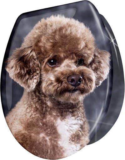 Toiletbril Met Softclose - Deksel Hond Motief - Badkamer Decoratie - Geruisloos Sluiten - 38x46cm - Hond