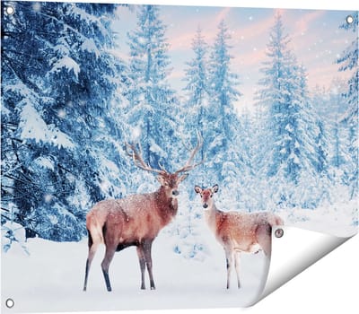 Gards Tuinposter Twee Herten in het Bos met Sneeuw - 80x60 cm - Tuindoek - Tuindecoratie - Wanddecoratie buiten - Tuinschilderij