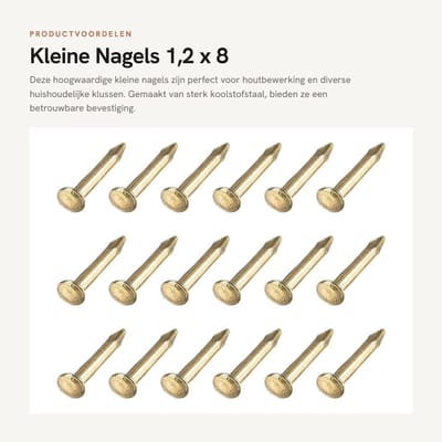 Dailygoods - Kleine Nagels 1,2 x 8 mm, 500 Stuks voor Houtbewerking