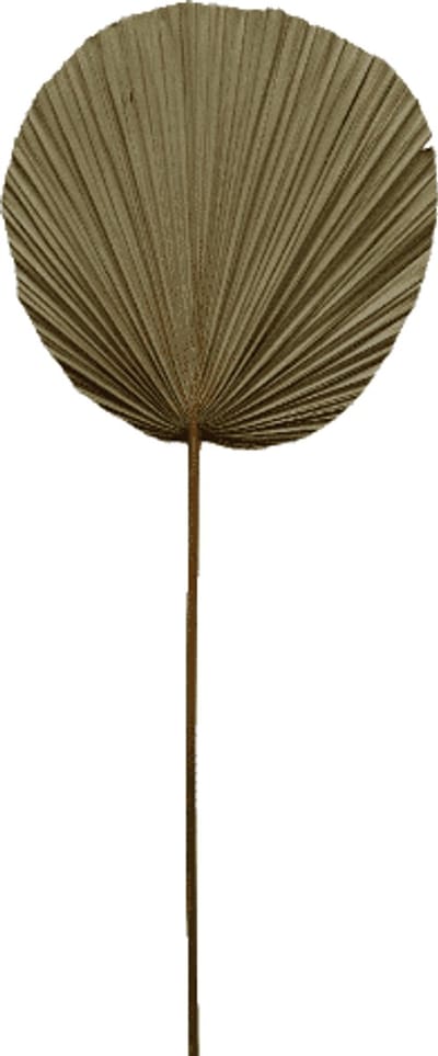 Palmblad op steel maat XL - 4Shine