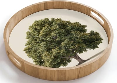 Dienblad rond 40x40 cm - Schootdienblad hout - Eikenboom - Groen - Lichte achtergrond - Borrelplank rechthoek - Plateau houten dienbladen