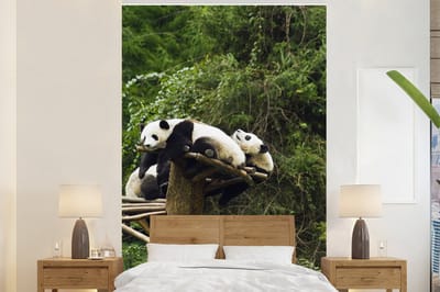 Behang - Fotobehang Panda's - Hout - Trap - Breedte 200 cm x hoogte 300 cm
