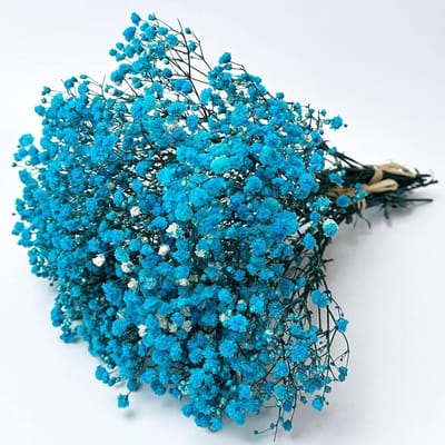 Bewaarde Baby's Breath - Kunstbloemen - Woondecoratie - Langdurige bloemen - 3 bossen - Lichtblauw