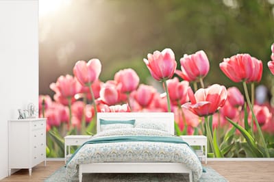 Behang - Fotobehang Tulpen - Zon - Lente - Breedte 390 cm x hoogte 260 cm