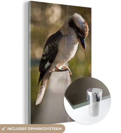 ® Glasschilderij 120x180 cm - Schilderij acrylglas - Een kookaburra die zit op een railing - Foto op glas - Muurdecoratie woonkamer - Wanddecoratie slaapkamer - Schilderijen