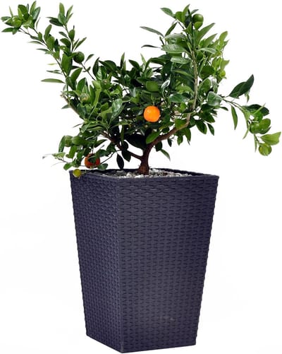 Famanu – Plantenbak rotanlook vierkant met binnenpot 55 cm kunststof grafietgrijs