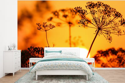 Behang - Fotobehang Planten - Bloemen - Zonsondergang - Oranje - Breedte 320 cm x hoogte 240 cm