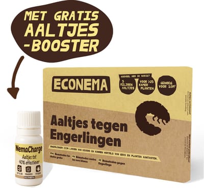 Aaltjes tegen Engerlingen – 10 m² – Nu met Aaltjes booster – Biologisch larven bestrijden in gazon – gele plekken & loslatend gras bestrijden