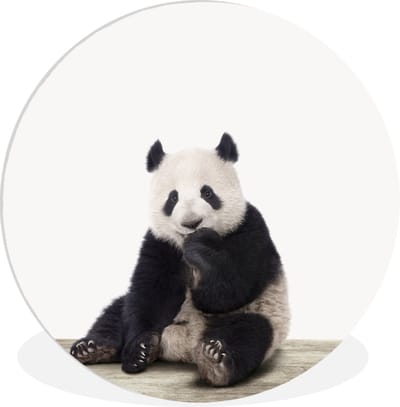 Muurdecoratie kinderkamer - Wandcirkel dieren - Kinderen - Panda - Beer - Dieren - Wanddecoratie jongens - Meisjes - 30x30 cm - Kunststof