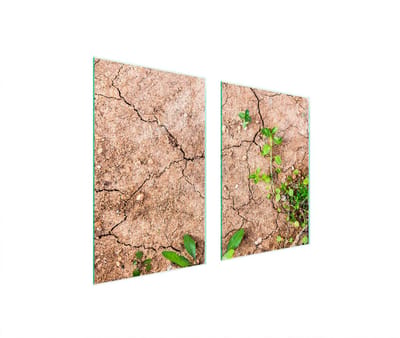 TMK ArtDeko Serie - Glazen Beschermplaat voor Kookplaat - 65x52 cm - Roestvrij - Motief van Planten