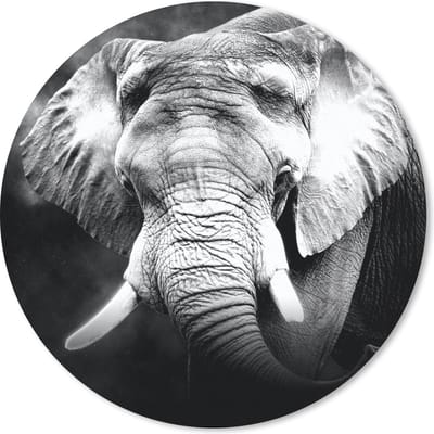 Muismat rond 20x20 cm - Mousepad Olifant - Rook - Tanden - Zwart - Wit - Ronde muismatten