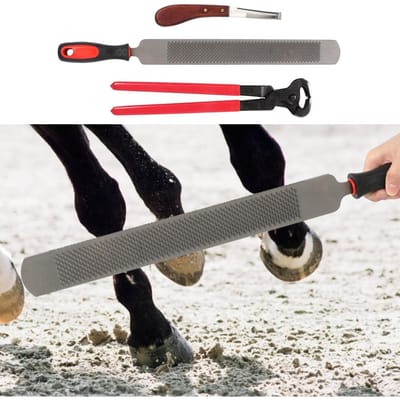 Professionele Metalen Scharen Trimmen Paard Equine Hoefsmid Hoefknipper Knipper Handvat Mes Gereedschap