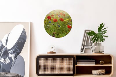 WallCircle - Wandcirkel 30x30 - Lente - Bloemen - Rood - Klaproos - Gras - Groen - Ronde schilderijen woonkamer - Wandbord rond - Muurdecoratie cirkel - Kamer decoratie binnen - Wanddecoratie muurcirkel - Woonaccessoires