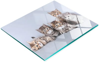 Duurzame en stijlvolle glazen snijplank met een patroon van vijf katten, 60x52 cm
