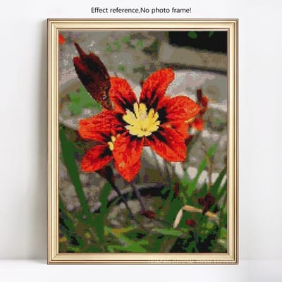 Diamant borduurwerk volledige ronde bloem en vlinder 5D DIY diamant schilderij kruissteek 20X30CM red