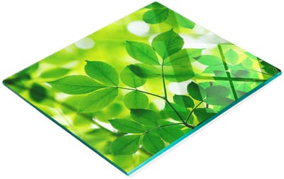 Gehard multifunctioneel decoratief bord van glas met groene bladeren, 60x52 cm