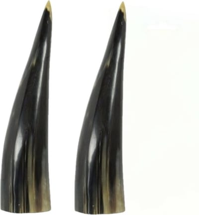 Decoratie Koehoorn - 2x stuks - Natuur product - 25 cm