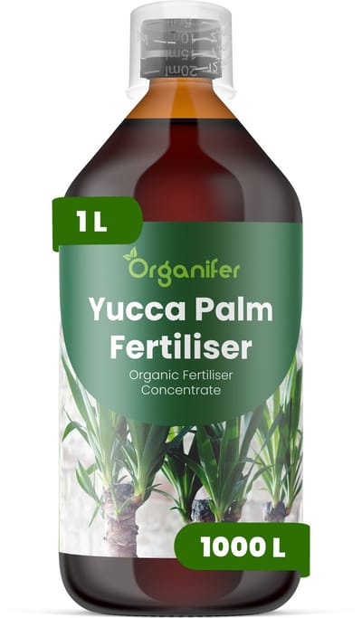 Vloeibare Meststof Voor Yucca Palmen - 1 L Voor 1000 L - Npk 2-1-8 - Geschikt Voor Yucca-Palmen In Pot En In De Tuin - Versterkt De Wortels - Helpt De Compacte - Architecturale Plantvorm Te Behouden - Ontwikkeld Voor Regelmatig - Organifer