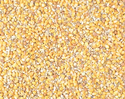 Natural Sport Maxi 3m 25 KG