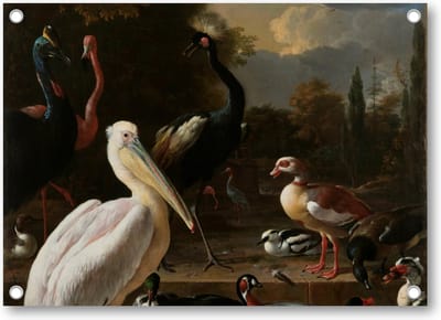 Het drijvend veertje - Tuinposter 70x50 - Wanddecoratie - Melchior d'Hondecoeter - Meesterwerken