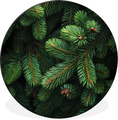 WallCircle - Wandcirkel - Muurcirkel - Sparrentakken - Knoppen - Naalden - Groen - Aluminium - Dibond - 30x30 cm - Binnen en Buiten