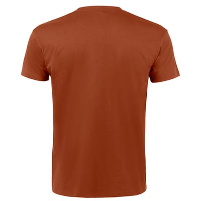 SOLS Heren Keizerlijke Zwaargewicht T-Shirt met korte mouwen (Terracotta)
