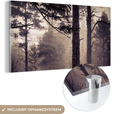 MuchoWow® Glasschilderij 40x20 cm - Schilderij acrylglas - Mist - Herfst decoratie - Natuur - Bos - Foto op glas - Schilderijen