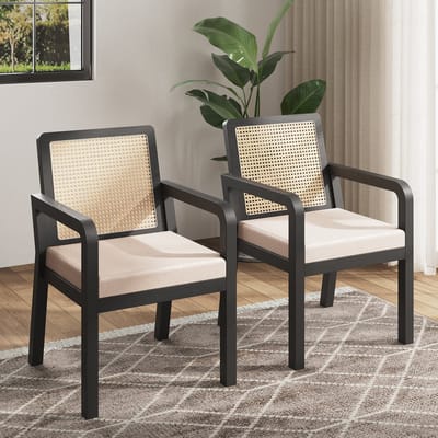 Eetkamerstoel - 2 Stuks - Ergonomische Essstoel Met Rattan Rugleuning - Comfortabel & Luxe - Velours - Bruin