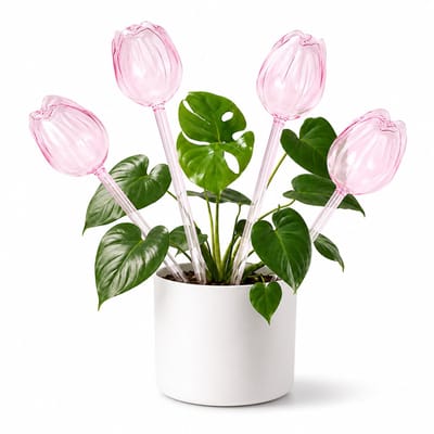 Daity 1stuk - Set van 4 zelfwaterende bollen voor planten, automatische watergeefbollen voor binnen- en buitenplanten, plantenwaterprikkers voor op vakantie