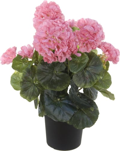 Roze geranium kunstplant in zwarte kunststof pot 35 cm - Pelargonium Graveolens - Woondecoratie