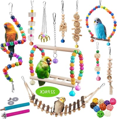 Vogelspeelgoed Set - Vogelkooi Accessoires - Vogels Vermaken - Natuurlijk Hout Rotan - 22 stuks - Kleurrijk