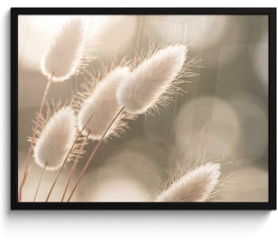 Poster in lijst - Fotolijst 80x60 cm - Posters - Hazestaartgras - Wit - Zonlicht - Posterlijst zwart - Decoratie - Wanddecoratie woonkamer - Muurdecoratie slaapkamer
