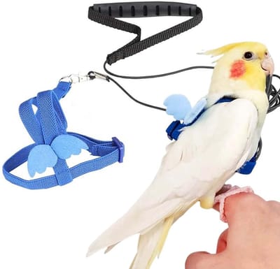 Dailygoods- Harnas Papegaaien Verstelbaar - Vogeltuigje - Bijtvast - Antislip Handgreep - Elastisch Touw - Hoogwaardig Nylon - Vogeltuig