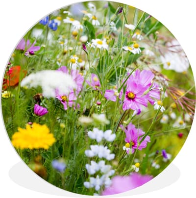 WallCircle® Wandcirkel 150x150 cm - Muurcirkel Bloemen - Natuur - Groen - Gras - Paars - Wit - Muurdecoratie woonkamer - Wanddecoratie slaapkamer - Kamer decoratie accessoires - Ronde schilderijen